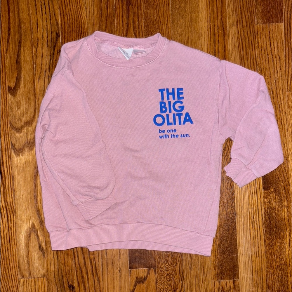 Zara Kids Pink Sweatshirt big olita